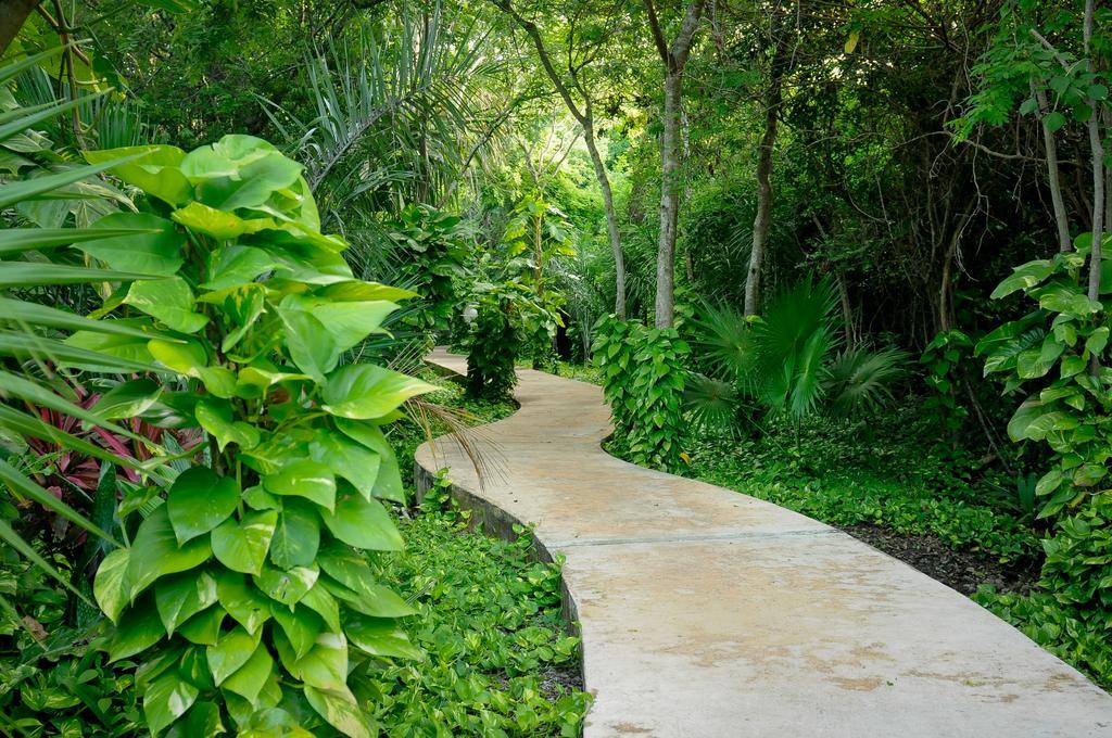 Amarte Maroma Hotel Eco Boutique Spa Punta Maroma Esterno foto