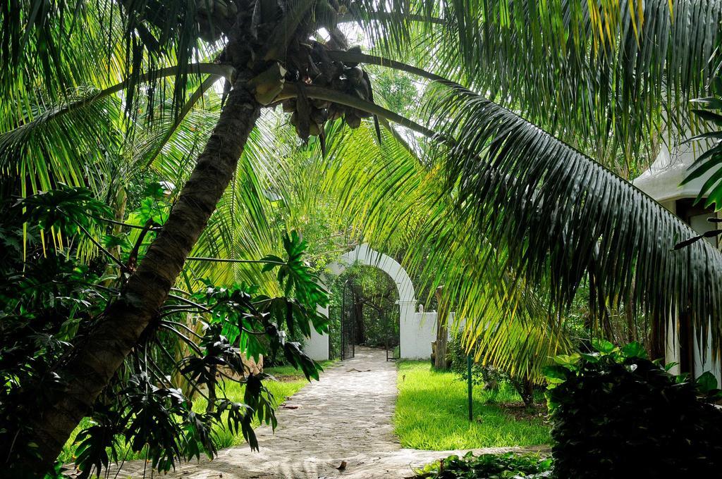Amarte Maroma Hotel Eco Boutique Spa Punta Maroma Esterno foto