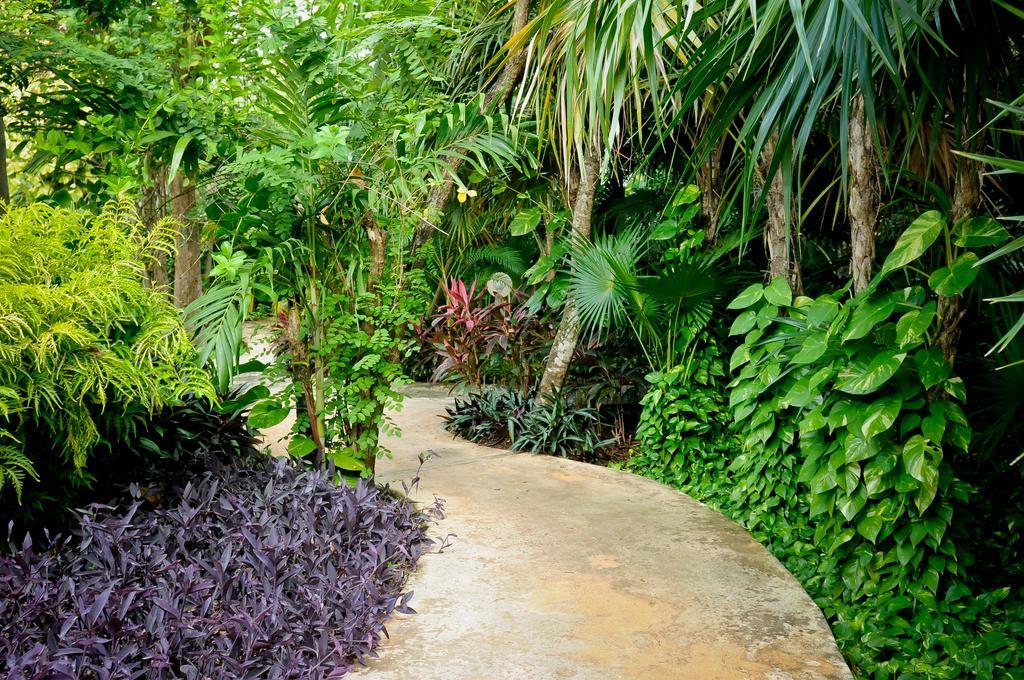 Amarte Maroma Hotel Eco Boutique Spa Punta Maroma Esterno foto