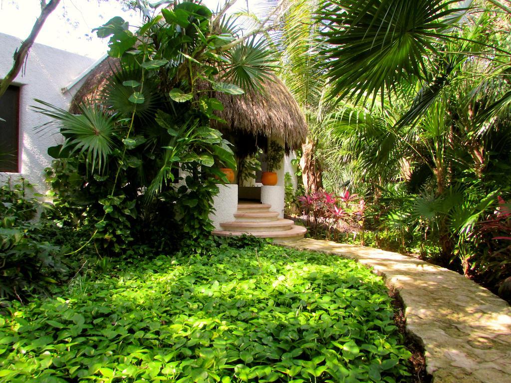 Amarte Maroma Hotel Eco Boutique Spa Punta Maroma Esterno foto